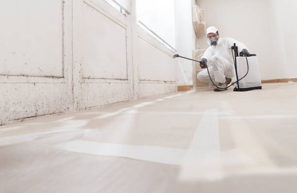 24/7 Emergency Mold Remediation experts in Montgomery Village, MD