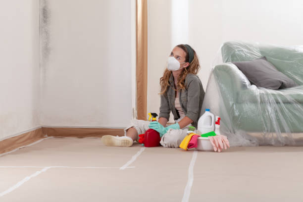 Reliable Mold Remediation contractor in Montgomery Village, MD by 24 Hour Mold Removal